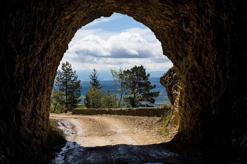 Travel Insights